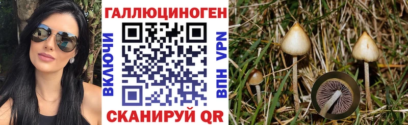 купить   Куйбышев  Галлюциногенные грибы GOLDEN TEACHER 
